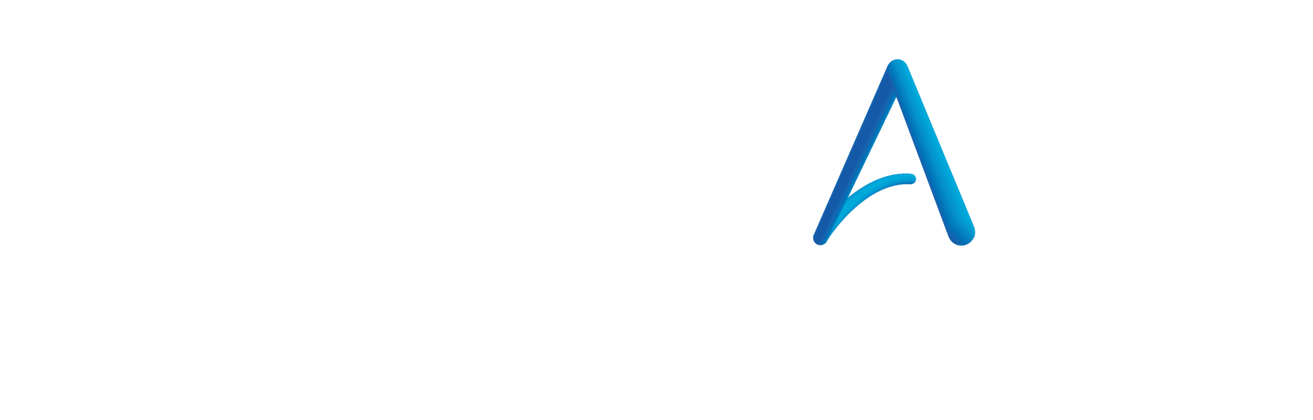 TechPath Advisors